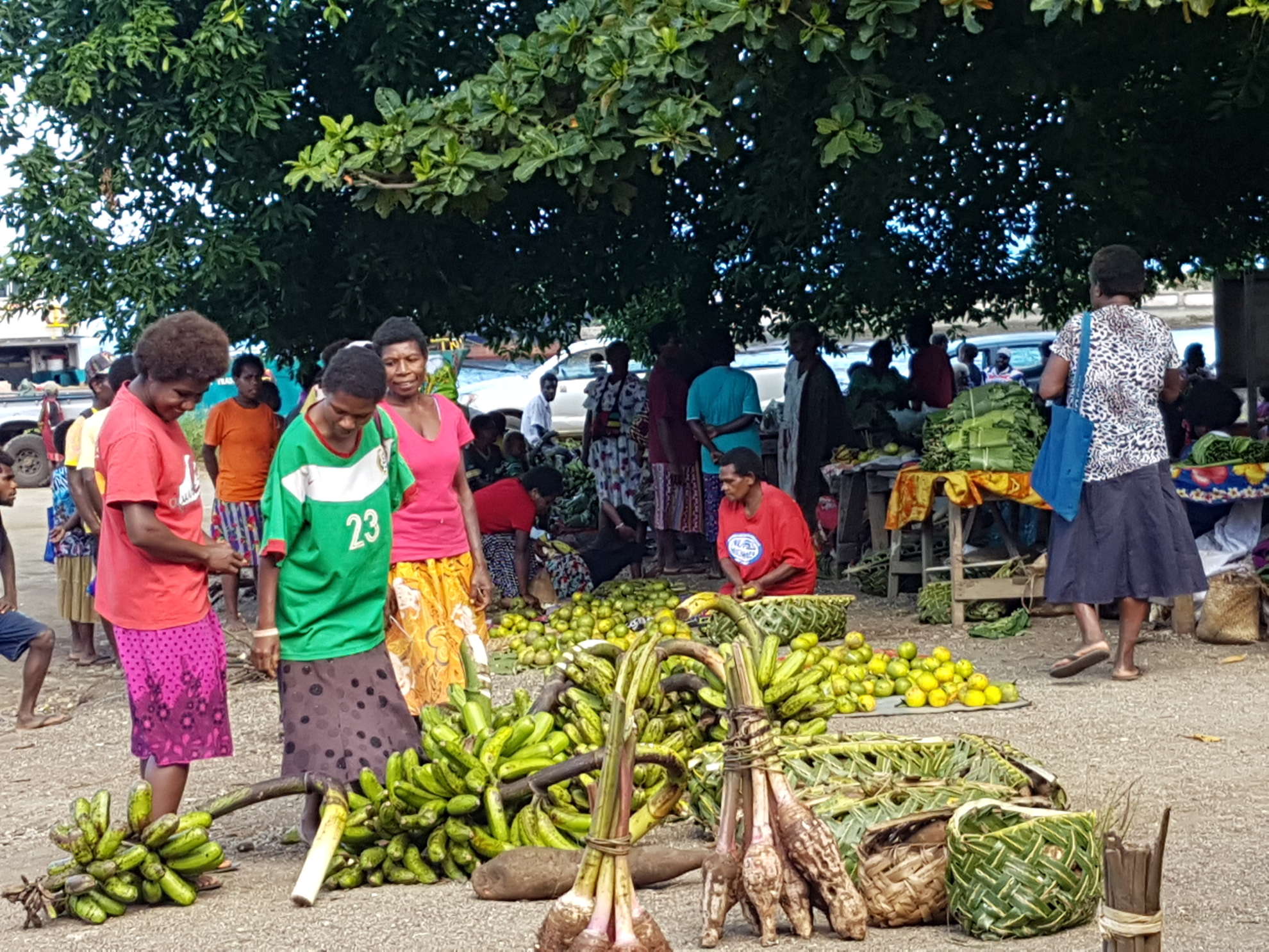 Tanna i fitim Port Vila mo hemi fitim tu Tanna 