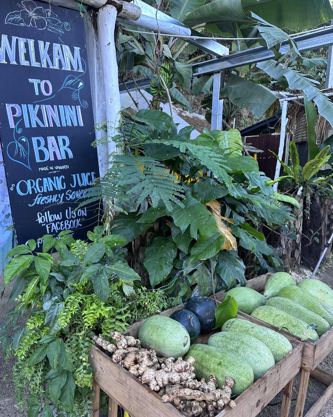 Image: Pikinini Bar, Port Vila