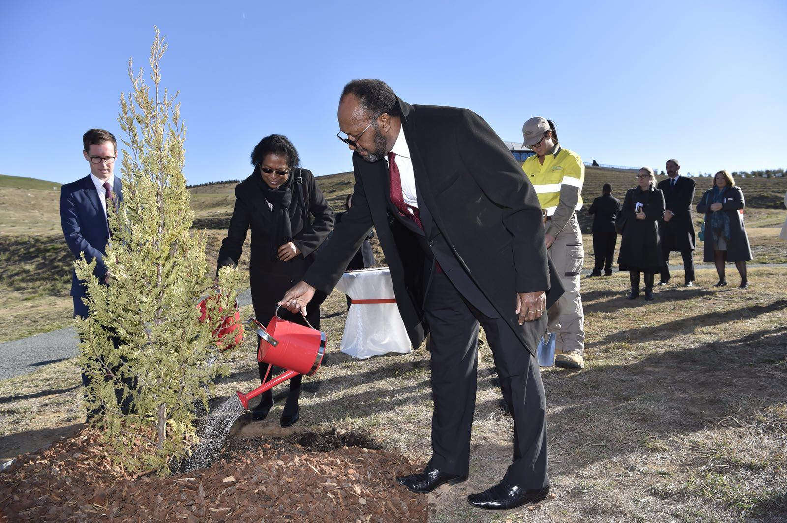 PM Salwai i planem wan tri long national Arboretum long Canberra 